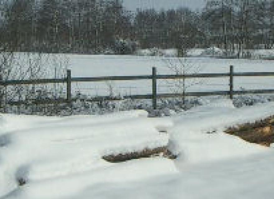 2005 Wadro survivalrun (De sneeuweditie)